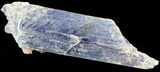 Vibrant Blue Kyanite Crystal - Brazil #56939-1